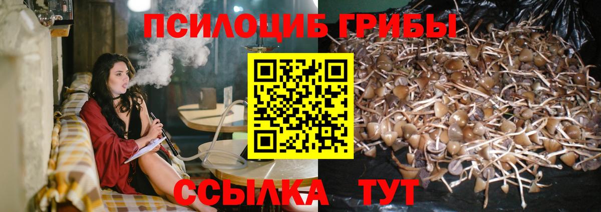 Псилоцибиновые грибы мухоморы Буйнакск